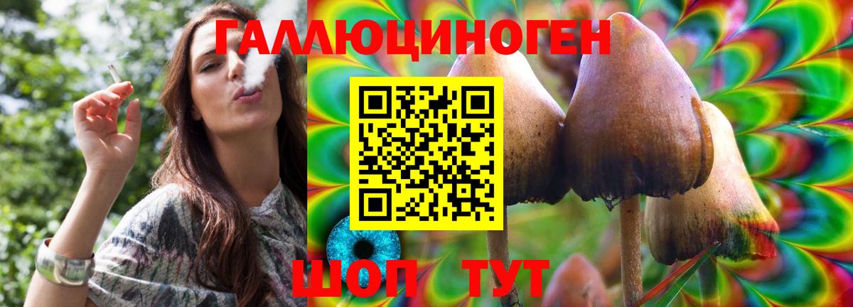 Псилоцибиновые грибы Magic Shrooms  Вход с VPN  закладка  Касимов 